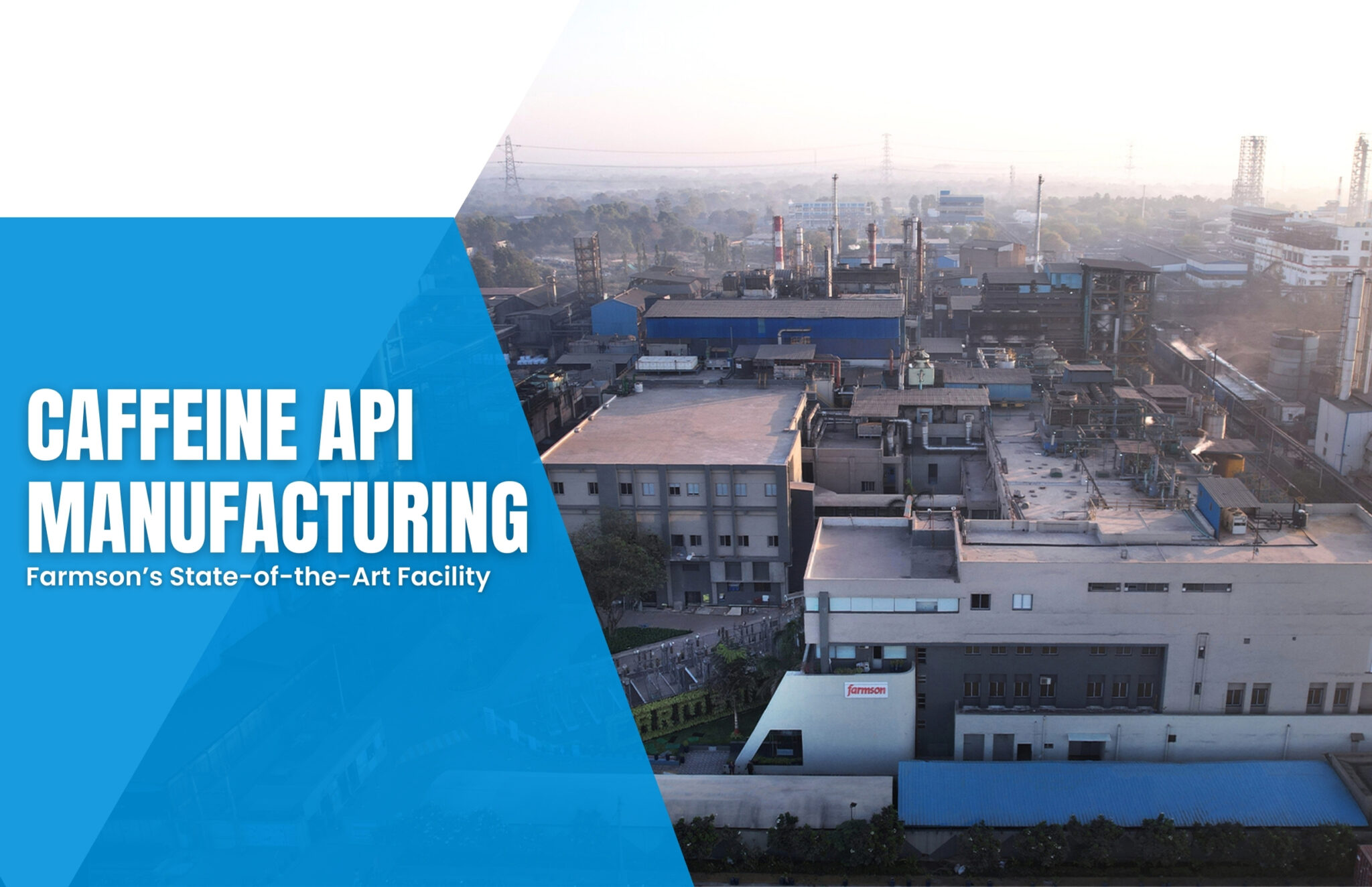 Caffeine API Manufacturing - Farmson’s State-of-the-Art Facility
