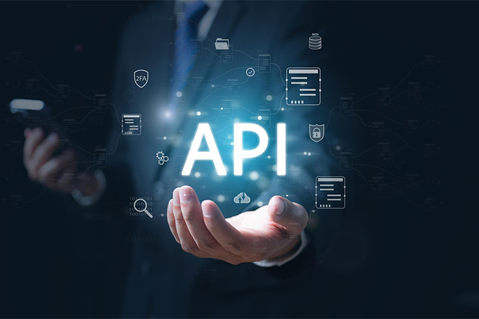API vendor approval documentation review and regulatory compliance process